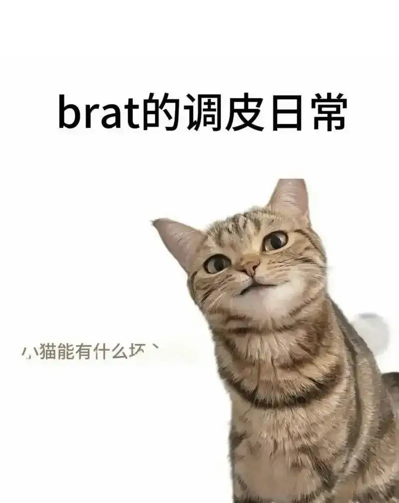 【西檬之家】新人入圈指南：探索字母圈的BDSM文化