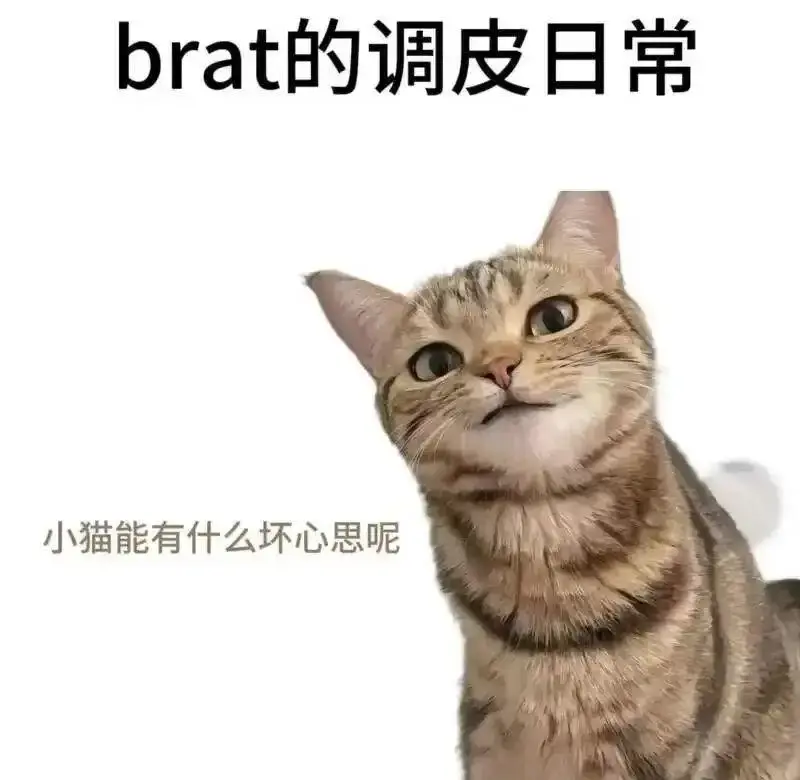西檬之家-字母圈TK是什么？