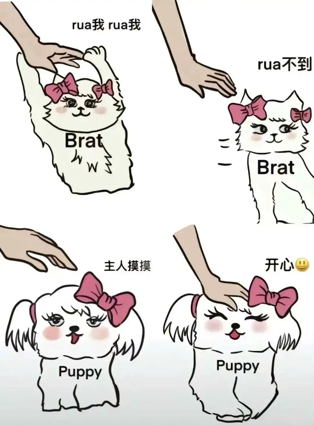 西檬之域-女王：字母圈权力与角色扮演指南