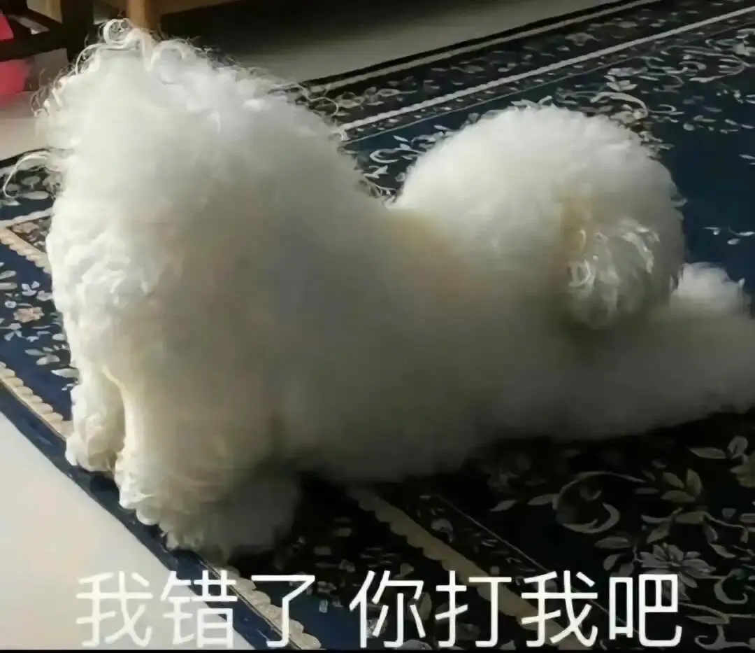 Dom：实用指南
