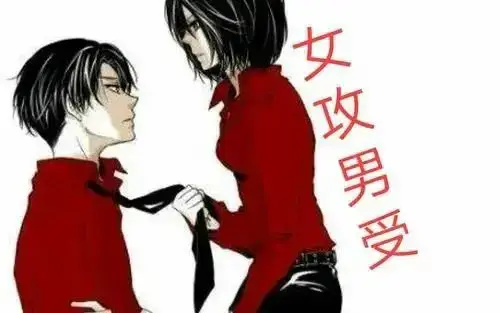 【西檬之家】DS关系入门：字母圈新人的核心指南