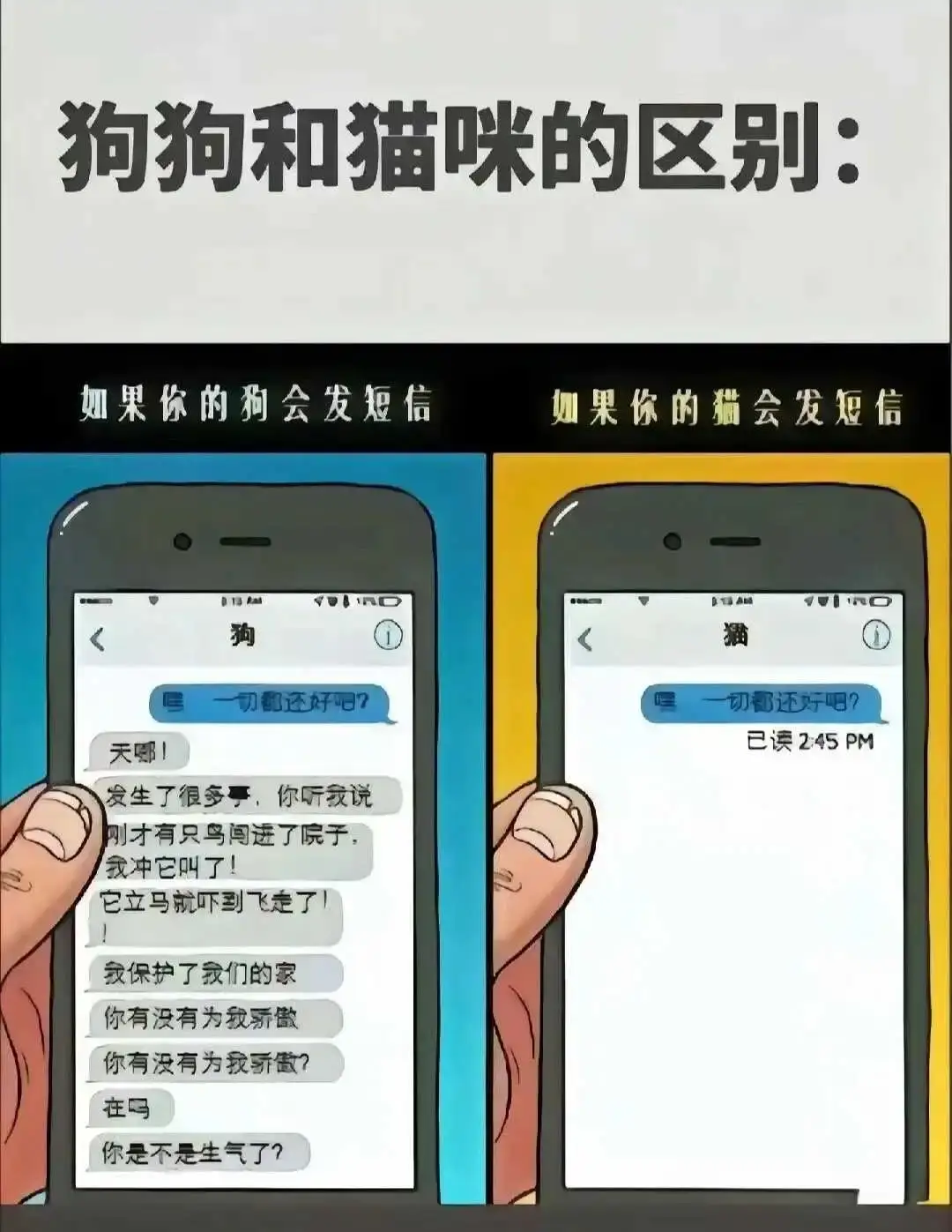 西檬之家-k8猫系新人入圈指南