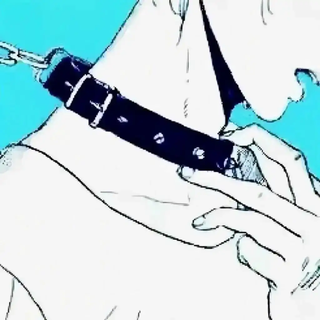 西檬之家-字母圈新人BDSM指南