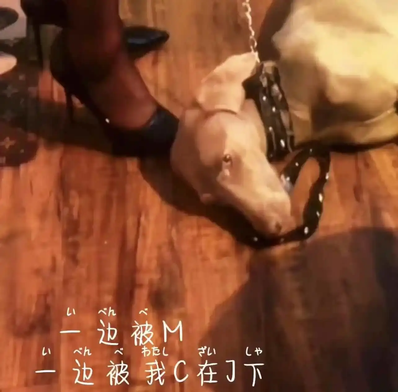 【西檬之家】字母圈新人入圈指南：理解BDSM核心术语与SSC原则
